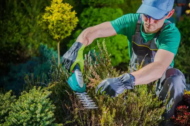 landscaping services New Haven